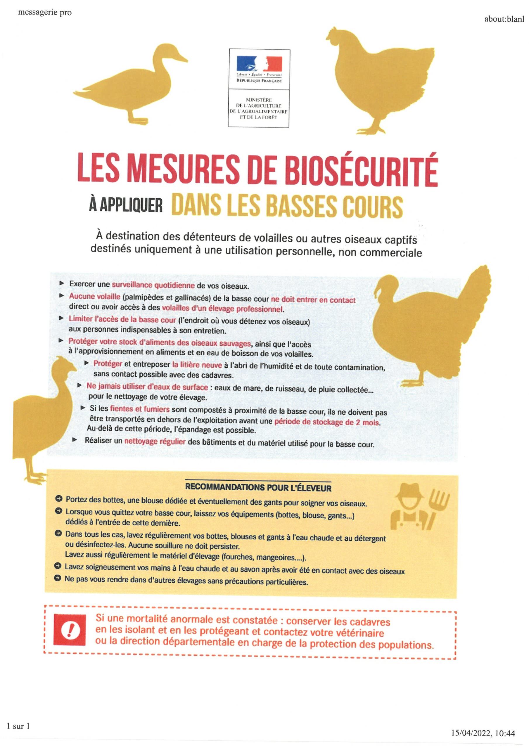 Lire la suite à propos de l’article Grippe aviaire